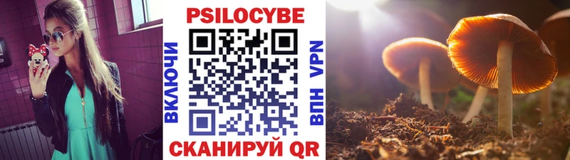 Галлюциногенные грибы Magic Shrooms  Стрежевой 